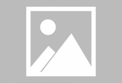 独家爆料海角大神之邻居,神秘身份曝光，背后故事令人惊叹